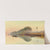 Sheik Abadeh On The Nile by Edward Lear