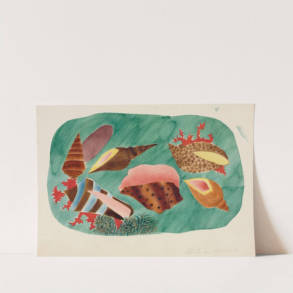 Shells in Seaweed by Mary Altha Nims