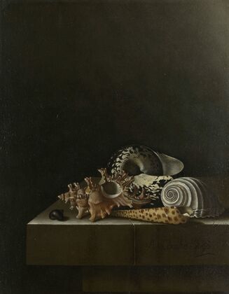 Shells on a Stone Plinth