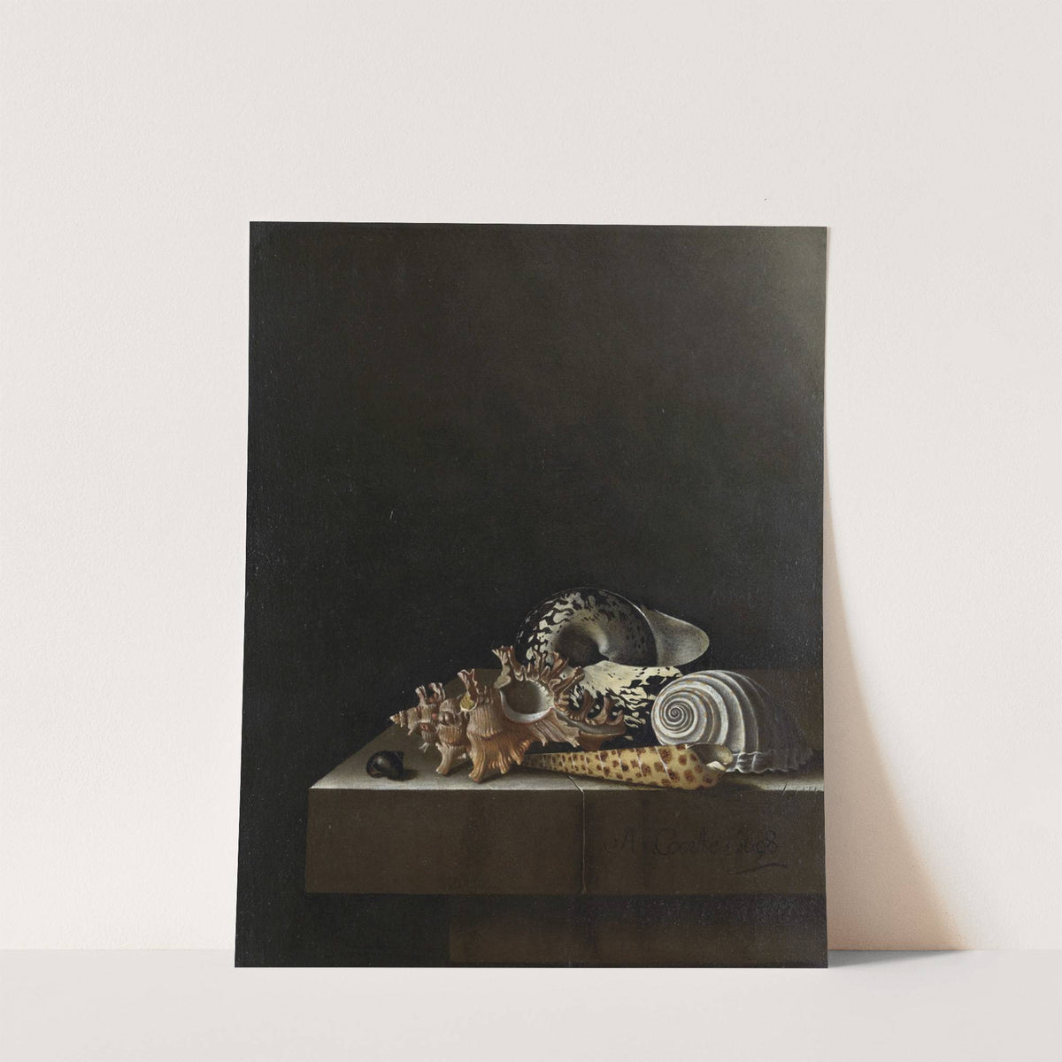 Shells on a Stone Plinth by Adriaen Coorte