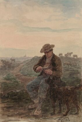Shepherd