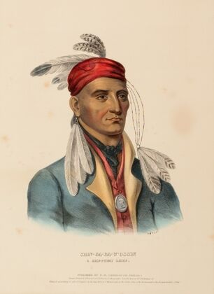 Shin-Ga-Ba-W’Ossin. A Chippeway Chief