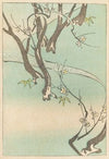 Shin zuan, Pl.06