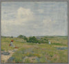 Shinnecock Hills