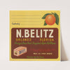 Shipping Label for N. Belitz Fancy Pack (1930-1950)