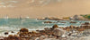 Ships at Sea on a Rocky Coast (1895)