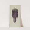 Shop Sign - Grapes by Robert Pohle
