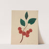 Siberian Apple (1800s) by Mary Altha Nims