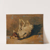 Sich wälzender Hund by Johann Till the younger