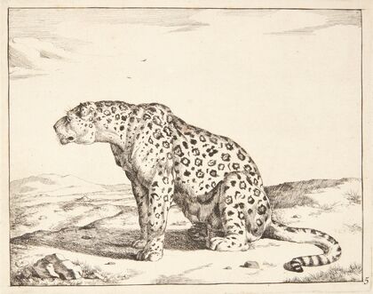 Siddende hunleopard, vendt mod venstre — size preview