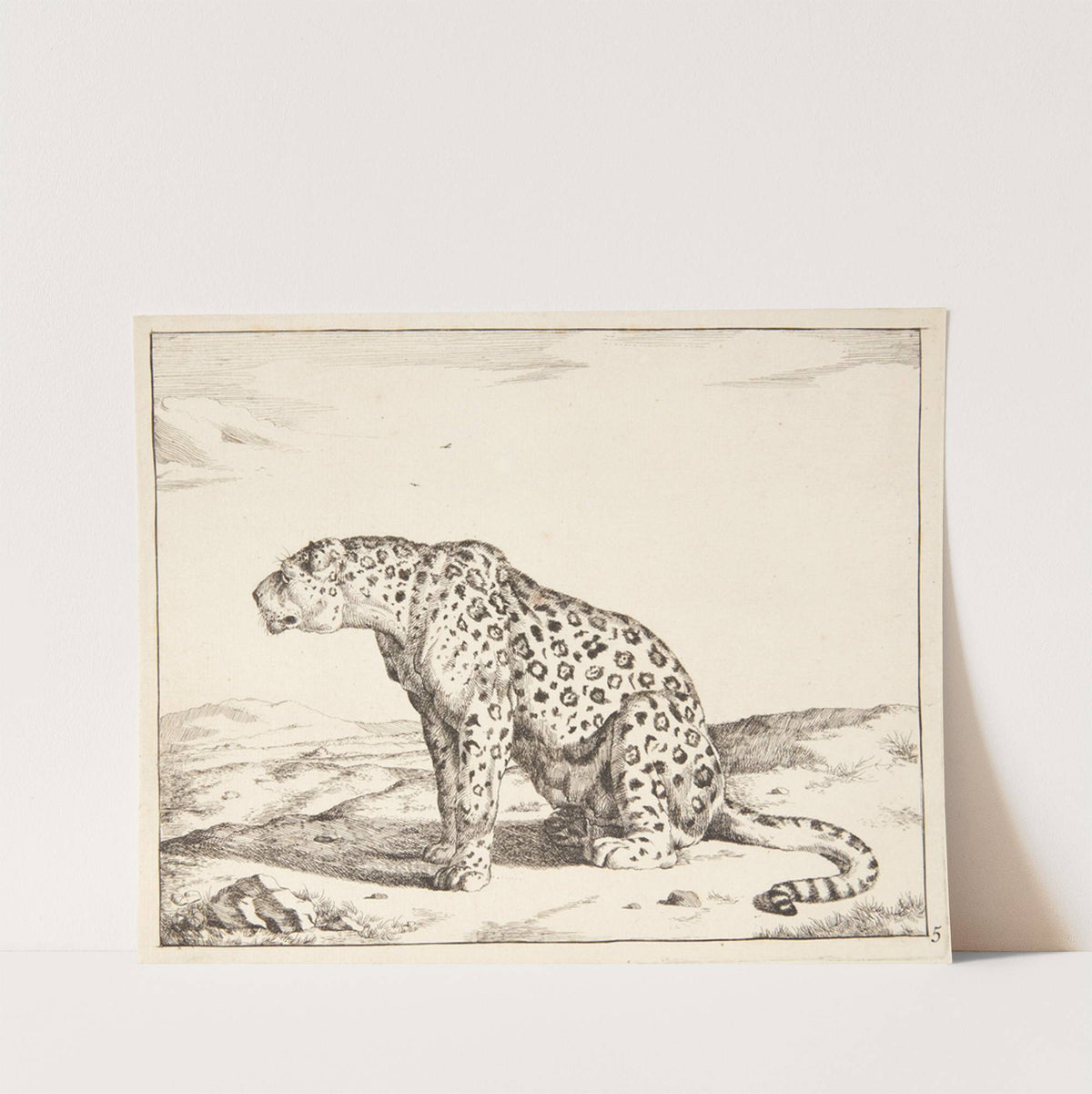 Siddende hunleopard, vendt mod venstre by Marcus de Bye
