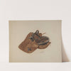 Side Saddle by Sydney Roberts