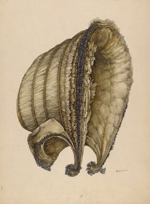 Silk Bonnet
