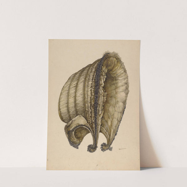 Silk Bonnet by Peter Connin