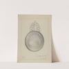 Silver Porringer by Clayton Braun