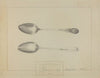 Silver Spoon