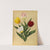 Single Duc Van Tholl Tuliips (1872-1881) by Arentina Hendrica Arendsen