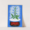 Siphuryl (1910-1950) by Laboratoires Longuet