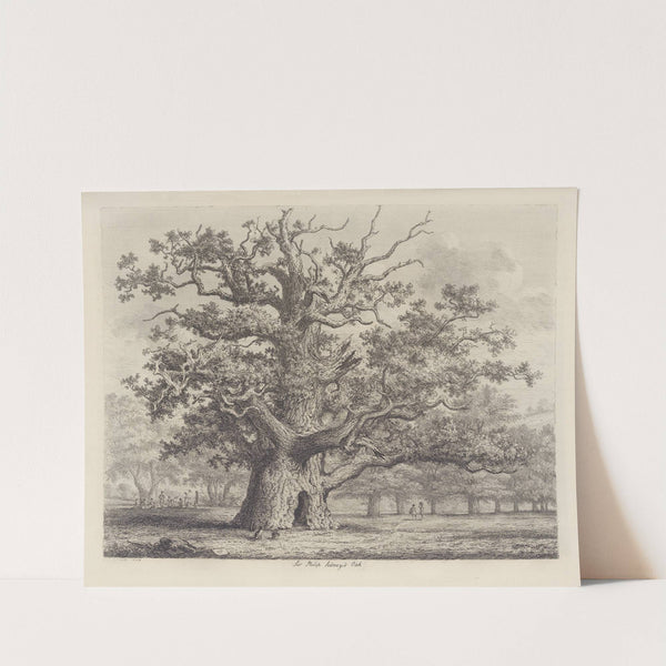 Sir Philip Sidney’s Oak by Jacob George Strutt