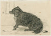 Sitting dog
