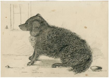 Sitting dog