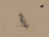 Sitting dog