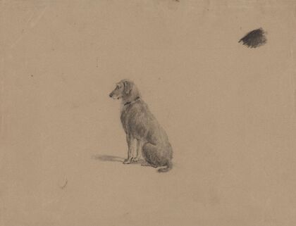 Sitting dog