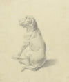Sitting dog to the left