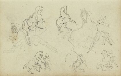 Six studies for man beside a rearing horse