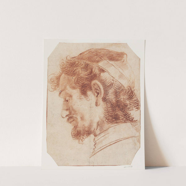 Skægget mandshoved i profil mod venstre by Giovanni Benedetto Castiglione