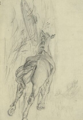 Sketch of a dead horse