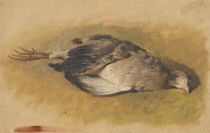 Sketch of a Dead Partridge