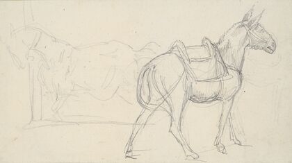 Sketch of a Horse (1817)