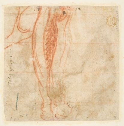 Sketch of a Leg — size preview