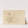 Sketch of Foliage by John Ruskin