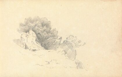 Sketch of Rocks and Shrubs