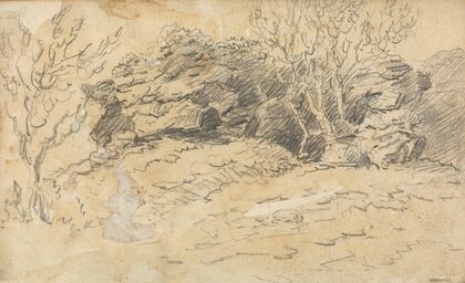 Sketch of Trees and Rocks
