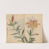 Sketchbook Pl.002 (1826-1840) by Ariyoshi Kondo