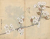 Sketchbook Pl.006 (1826-1840)