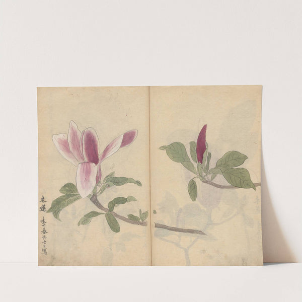 Sketchbook Pl.007 (1826-1840) by Ariyoshi Kondo