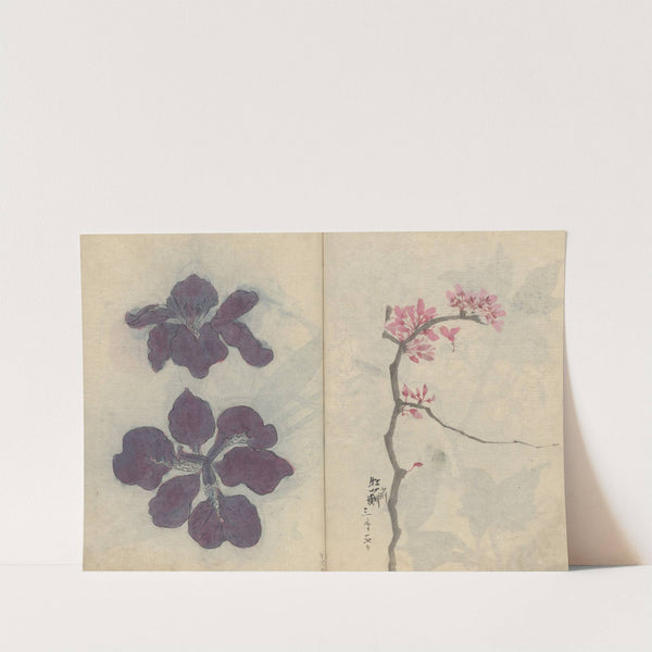 Sketchbook Pl.009 (1826-1840) by Ariyoshi Kondo