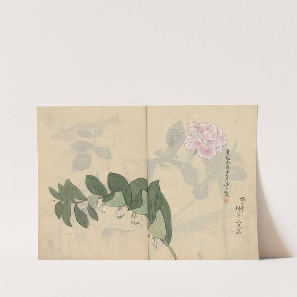 Sketchbook Pl.011 (1826-1840) by Ariyoshi Kondo