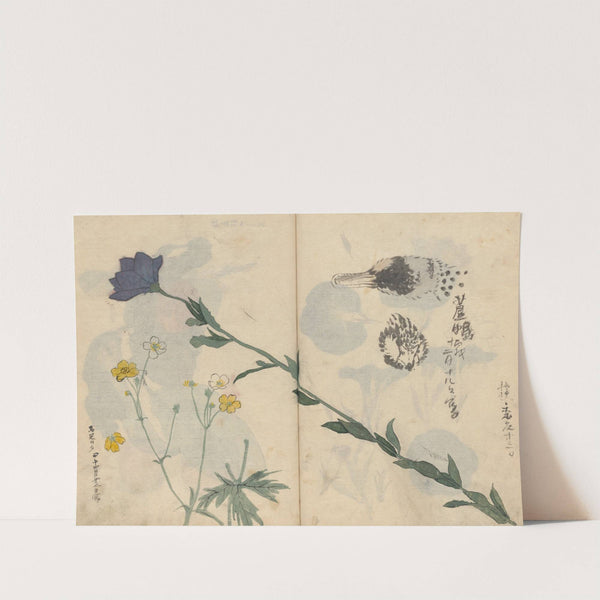 Sketchbook Pl.013 (1826-1840) by Ariyoshi Kondo