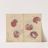 Sketchbook Pl.018 (1826-1840) by Ariyoshi Kondo