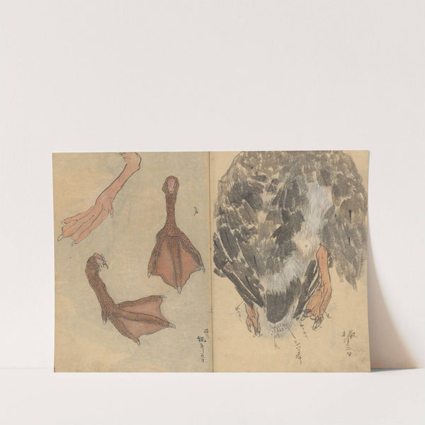 Sketchbook Pl.020 (1826-1840) by Ariyoshi Kondo