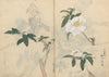 Sketchbook Pl.030 (1826-1840)