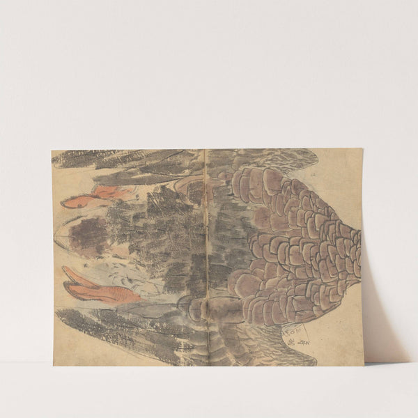 Sketchbook Pl.034 (1826-1840) by Ariyoshi Kondo