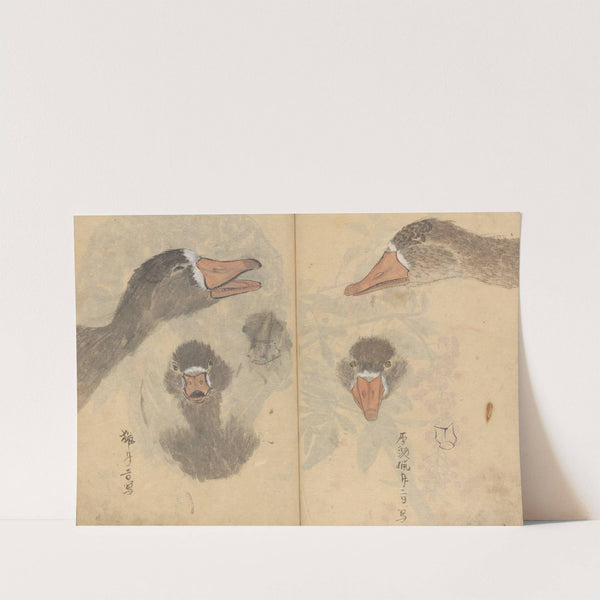 Sketchbook Pl.041 (1826-1840) by Ariyoshi Kondo