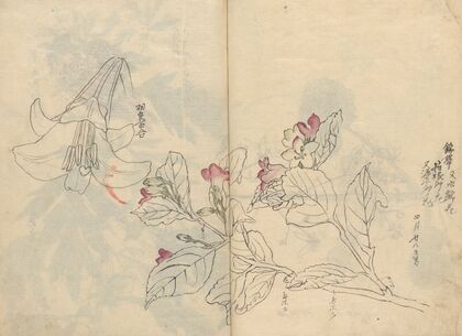 Sketchbook Pl.042 (1826-1840)