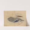 Sketchbook Pl.047 (1826-1840) by Ariyoshi Kondo
